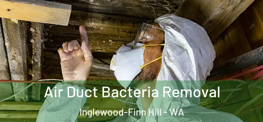  Air Duct Bacteria Removal Inglewood-Finn Hill - WA