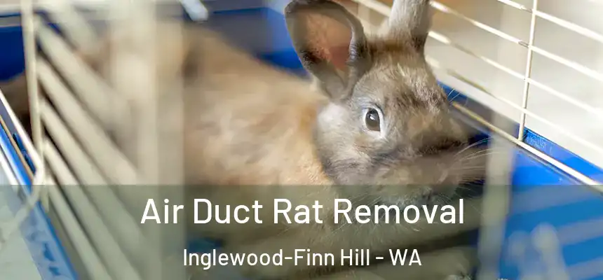  Air Duct Rat Removal Inglewood-Finn Hill - WA