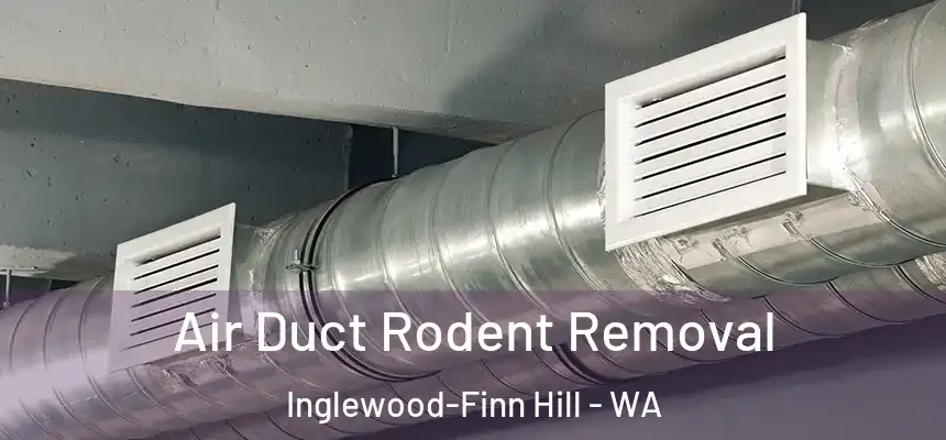  Air Duct Rodent Removal Inglewood-Finn Hill - WA