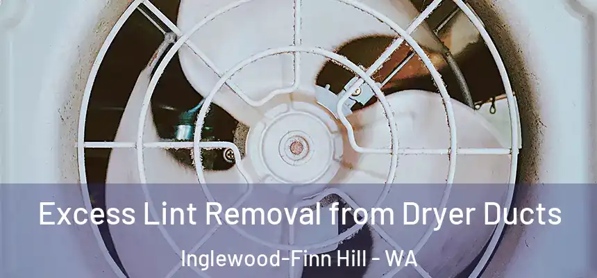 Excess Lint Removal from Dryer Ducts Inglewood-Finn Hill - WA