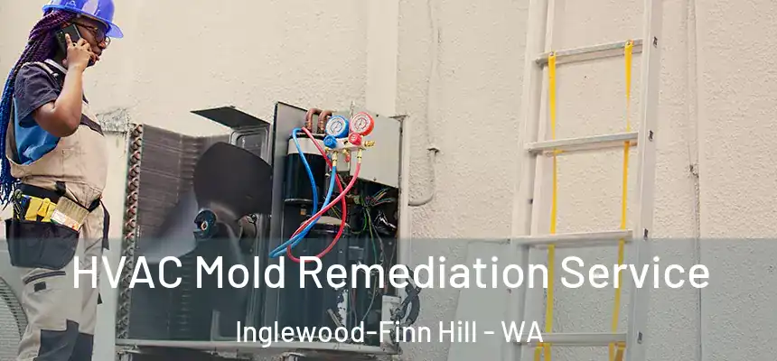  HVAC Mold Remediation Service Inglewood-Finn Hill - WA
