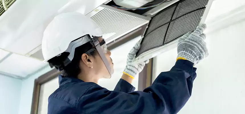 Our Mold & Mildew Removal from Air Ducts Services in Inglewood-Finn Hill, WA