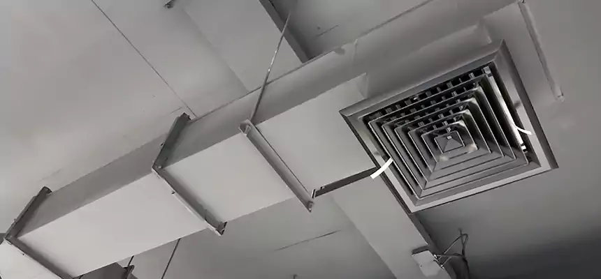 Our Rodent Droppings In Vents Services in Inglewood-Finn Hill, WA