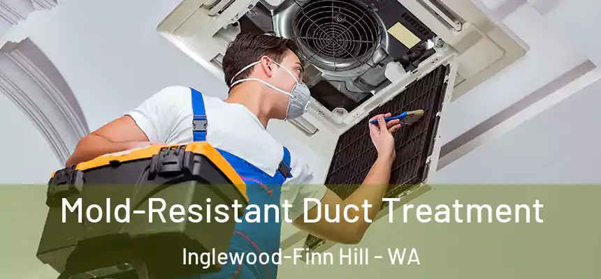 Mold-Resistant Duct Treatment Inglewood-Finn Hill - WA