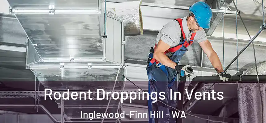  Rodent Droppings In Vents Inglewood-Finn Hill - WA