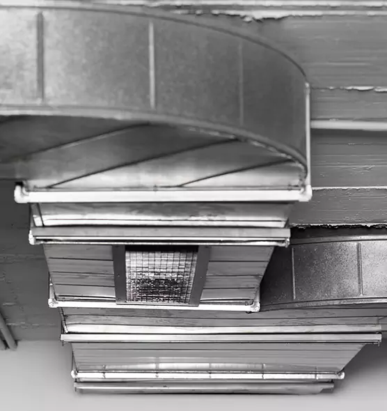 Professional Air Duct Pest Removal in Inglewood-Finn Hill, WA