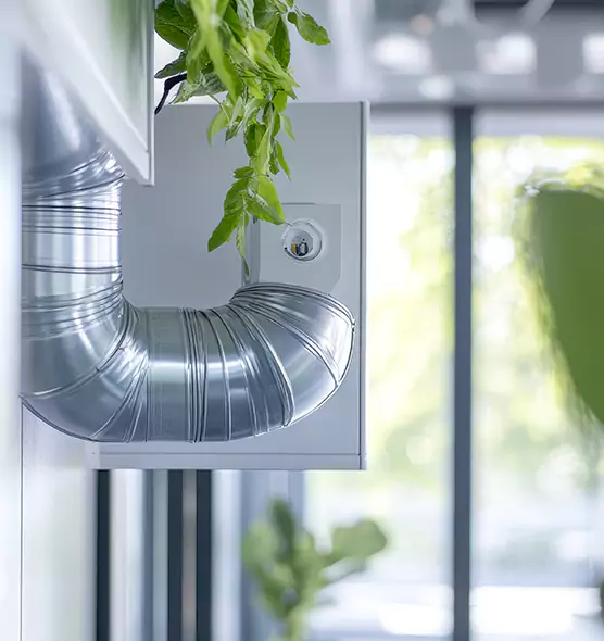 Professional Eco-Friendly Duct Cleaning Services in Inglewood-Finn Hill, WA