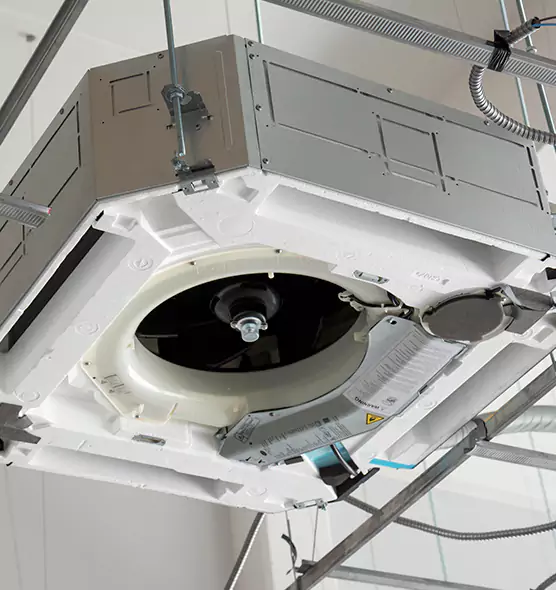 Professional Roof Vent Lint Removal Inglewood-Finn Hill, WA