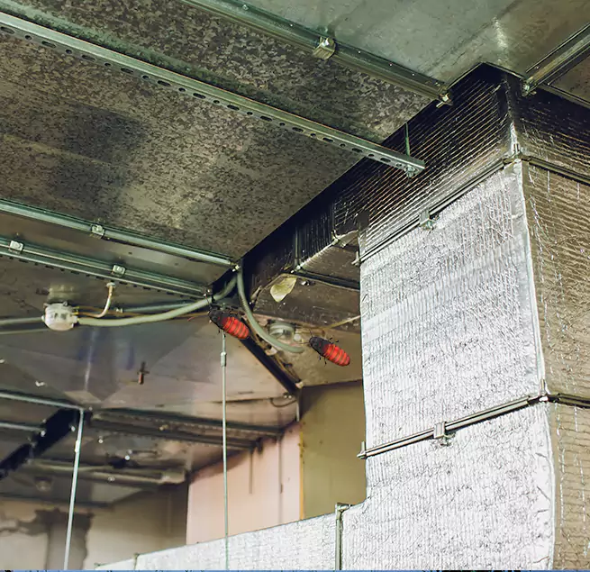 Why Homeowners & Businesses Trust Us in Inglewood-Finn Hill, WA?