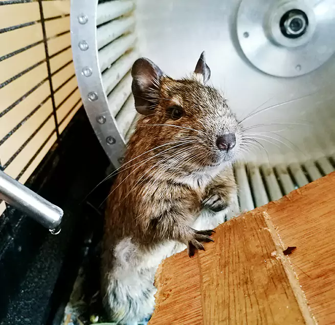 Why Homeowners & Businesses Trust Us Inglewood-Finn Hill, WA?