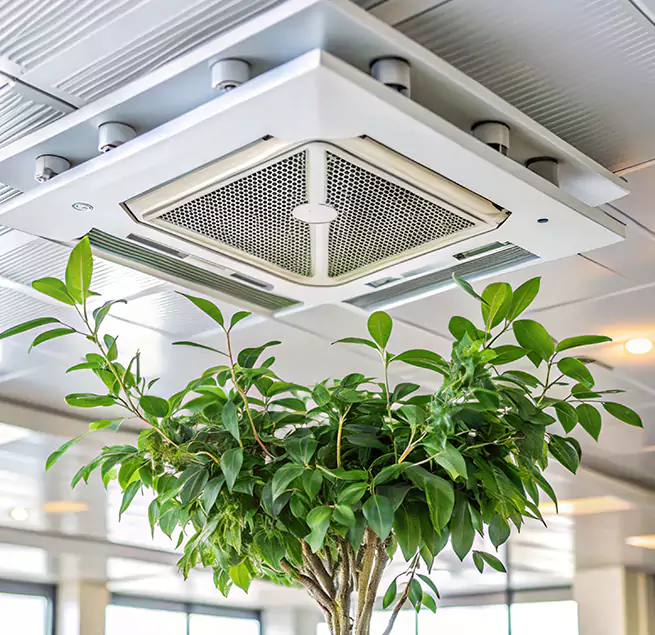 Why Homeowners & Businesses Trust Us in Inglewood-Finn Hill, WA?